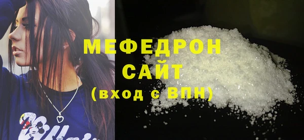 хмурый Аркадак