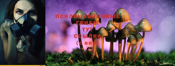 тгк Арсеньев