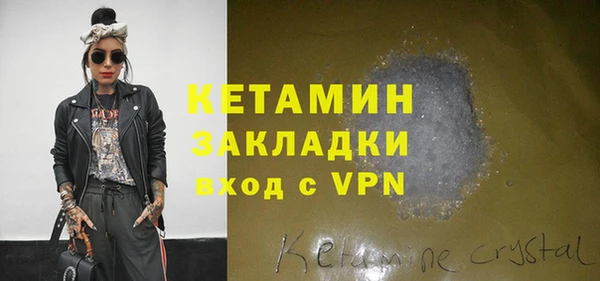 хмурый Аркадак