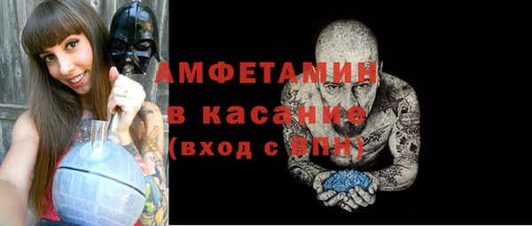 хмурый Аркадак