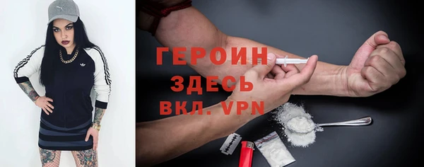 хмурый Аркадак