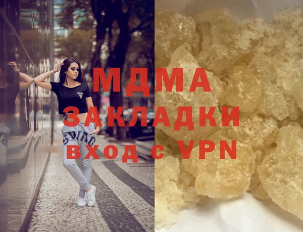 хмурый Аркадак