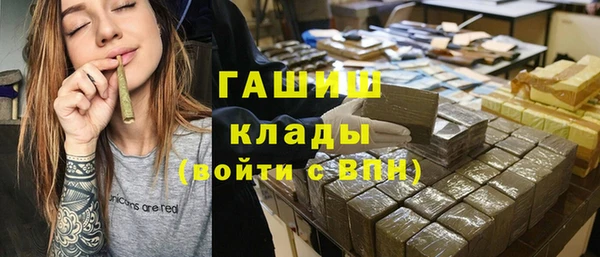 хмурый Аркадак