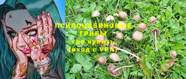 тгк Арсеньев