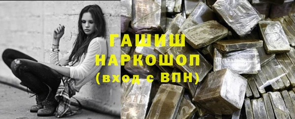хмурый Аркадак