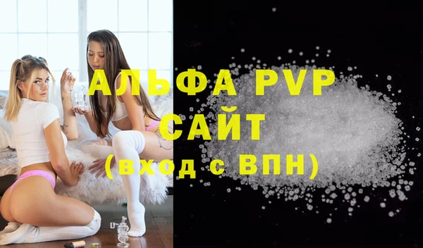 хмурый Аркадак