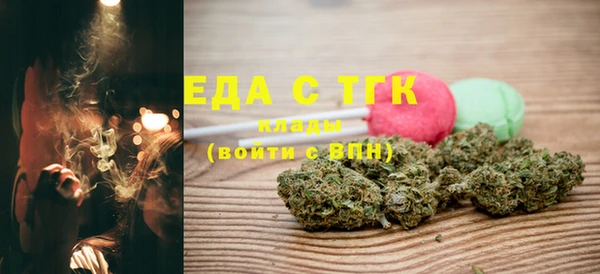 хмурый Аркадак