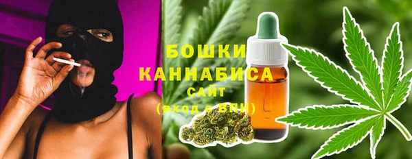 хмурый Аркадак