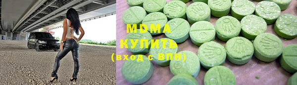хмурый Аркадак